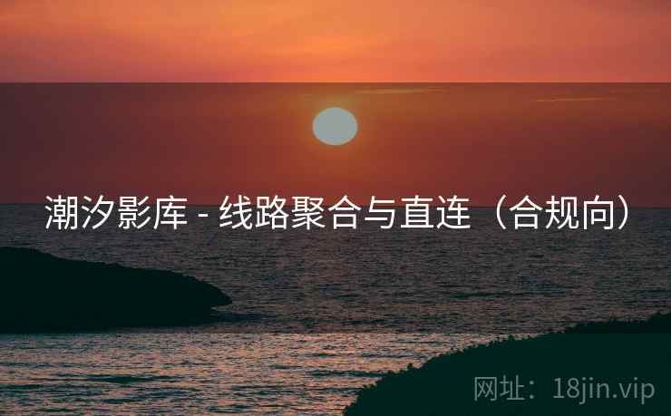 潮汐影库 - 线路聚合与直连（合规向）