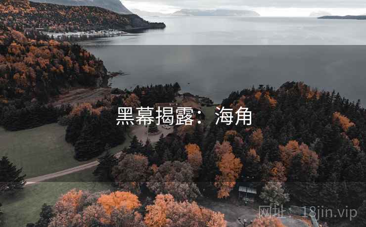 黑幕揭露：海角