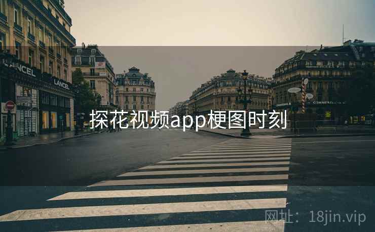 探花视频app梗图时刻