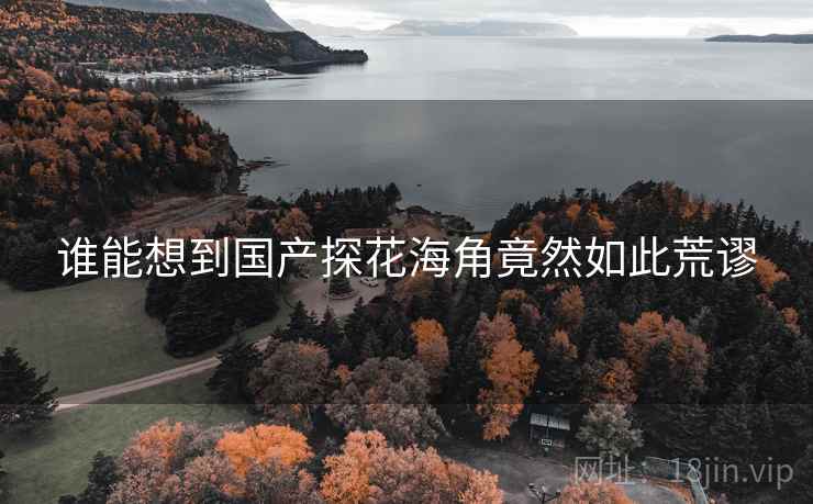 谁能想到国产探花海角竟然如此荒谬